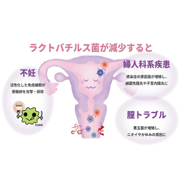 商品詳細 | Club TOHOGAS