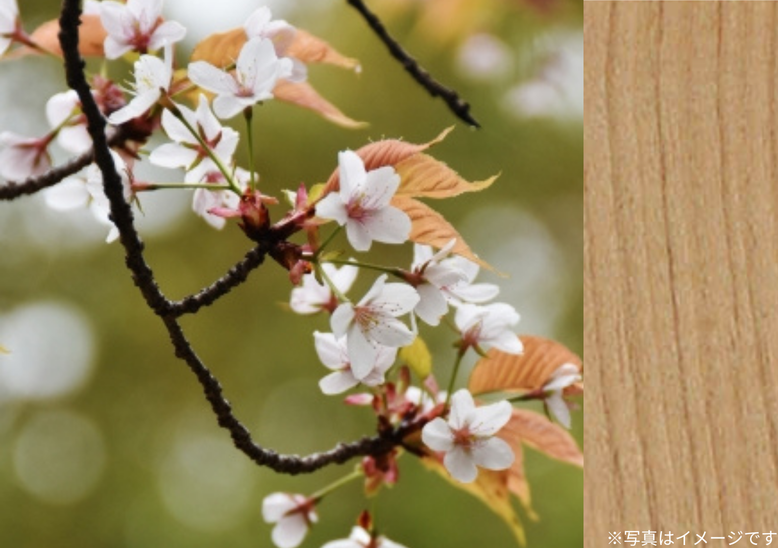 山桜材